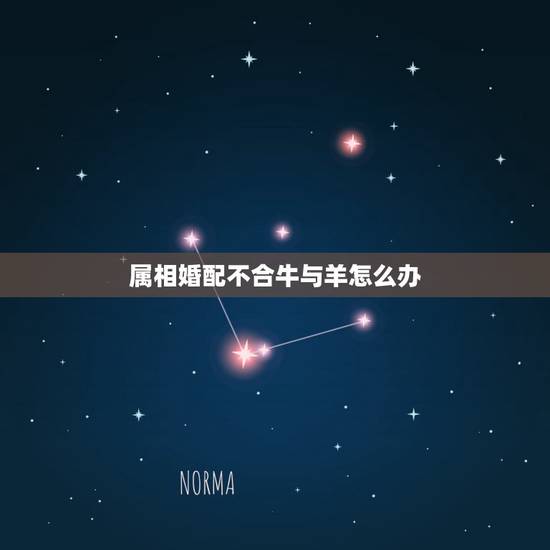 属相婚配不合牛与羊怎么办,属羊和什么属相相冲?教你如何化解和属牛相冲 属相婚配不合牛与羊怎么办,属羊和什么属相相冲?教你如何化解和属牛相冲