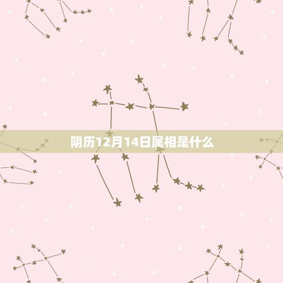 阴历12月14日属相是什么,农历12月14日是属于什么星座 阴历12月14日属相是什么,农历12月14日是属于什么星座