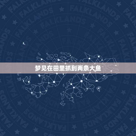 梦见在田里抓到两条大鱼，周公解梦梦见抓到两条大鱼还在跳