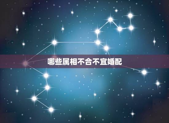 哪些属相不合不宜婚配，十二生肖中，那些属相最不适宜结婚？