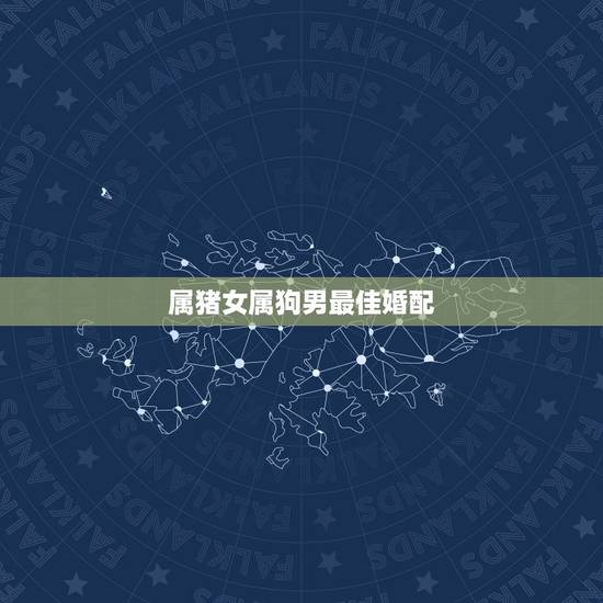 属猪女属狗男最佳婚配,男属猪的可以和女属狗的婚配吗? 属猪女属狗男最佳婚配,男属猪的可以和女属狗的婚配吗?
