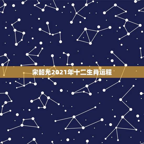 宋韶光2021年十二生肖运程，十二生肖运程2021年运势每月运程
