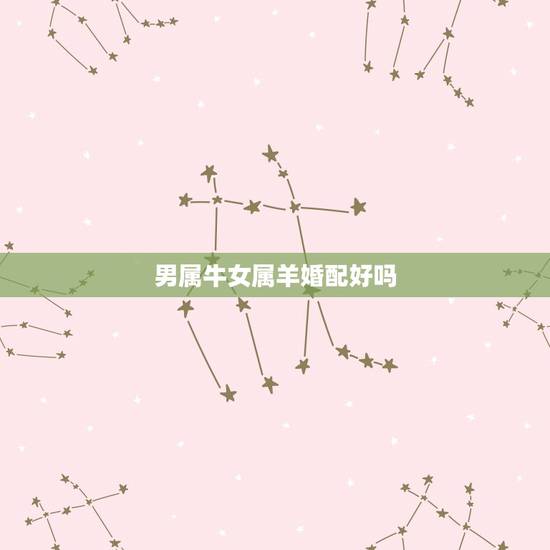 男属牛女属羊婚配好吗，男属牛，女属羊配婚好不好？