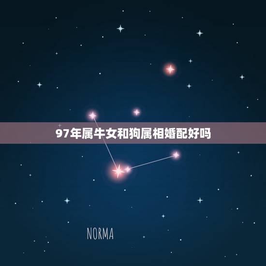 97年属牛女和狗属相婚配好吗,属牛和属狗的能婚配吗 97年属牛女和狗属相婚配好吗,属牛和属狗的能婚配吗