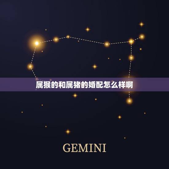 属猴的和属猪的婚配怎么样啊，属猴的和属猪能在一起上班吗