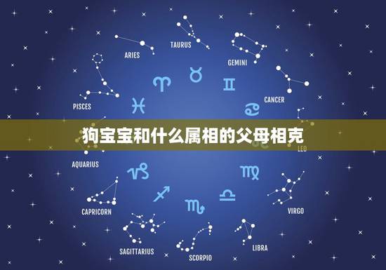 狗宝宝和什么属相的父母相克，属狗最忌生啥属相宝宝