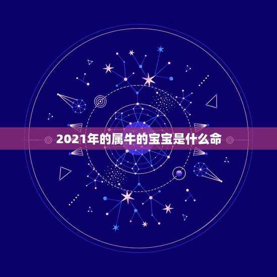 2021年的属牛的宝宝是什么命，2021年属牛是什么命