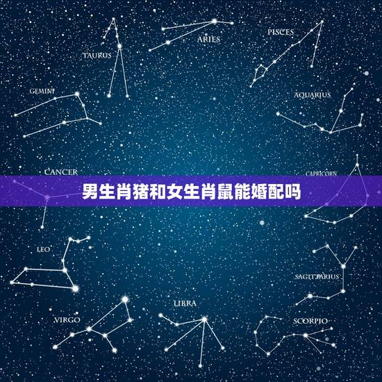 男生肖猪和女生肖鼠能婚配吗,男84年属鼠女83年属猪相配吗? 男生肖猪和女生肖鼠能婚配吗,男84年属鼠女83年属猪相配吗?