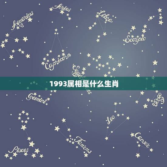 1993属相是什么生肖，93年属鸡的和什么属相最配