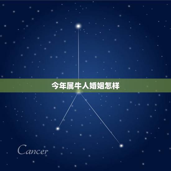 今年属牛人婚姻怎样,牛人见牛年运程 今年属牛人婚姻怎样,牛人见牛年运程