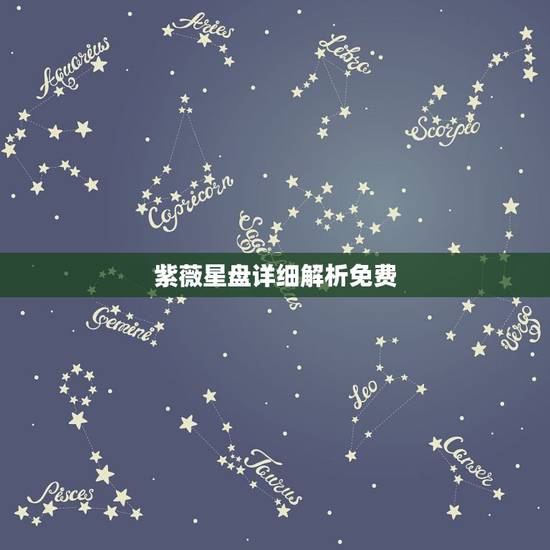 紫薇星盘详细解析免费，求紫薇星盘解析
