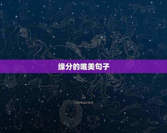 缘分的唯美句子,形容爱情缘分的唯美句子 缘分的唯美句子,形容爱情缘分的唯美句子
