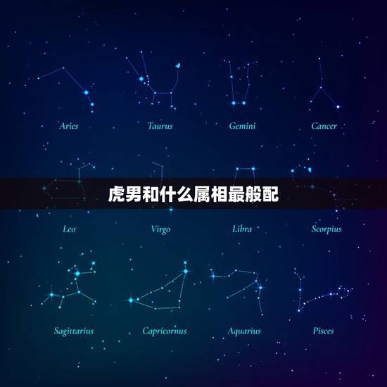 虎男和什么属相最般配，属虎的男找什么属相好