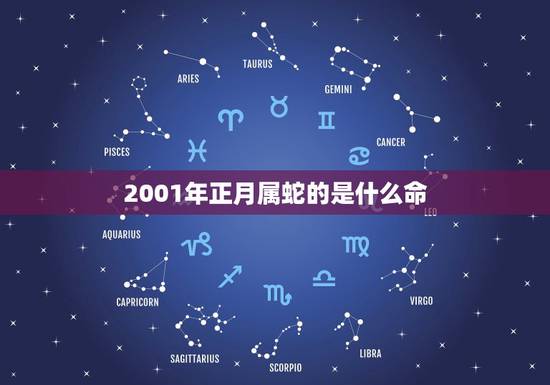 2001年正月属蛇的是什么命，属蛇正月出生是什么命