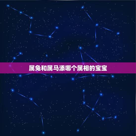属兔和属马添哪个属相的宝宝，男的属兔女的属马生个什么属相的孩子好