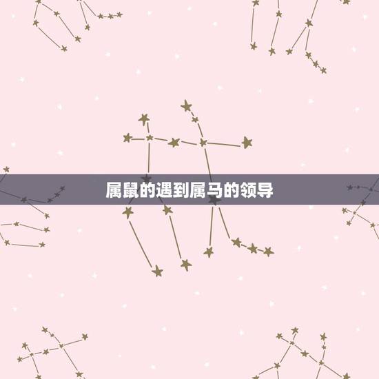 属鼠的遇到属马的领导,老板属马员工属鼠好不好 属鼠的遇到属马的领导,老板属马员工属鼠好不好