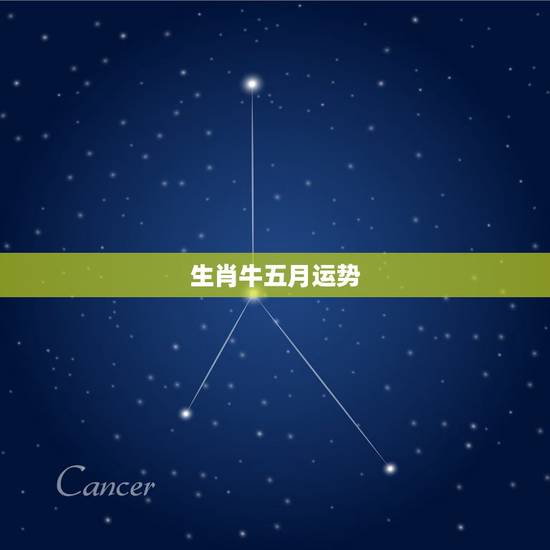 生肖牛五月运势,生肖牛2014年12月赌博运势 生肖牛五月运势,生肖牛2014年12月赌博运势
