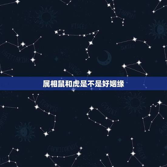 属相鼠和虎是不是好姻缘，属老鼠和属虎的好不好