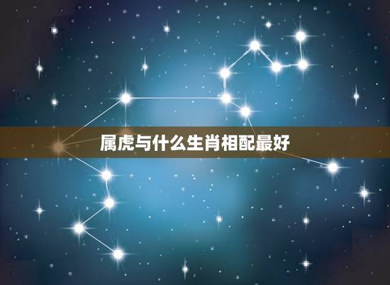 属虎与什么生肖相配最好，生肖配对：属虎的和什么属相最配