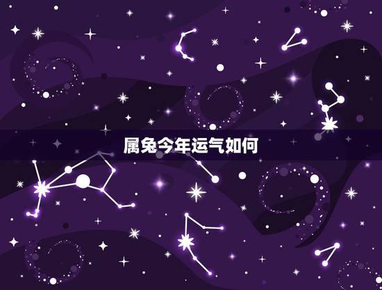 属兔今年运气如何,2022 年生肖兔2月财运如何 属兔今年运气如何,2022 年生肖兔2月财运如何