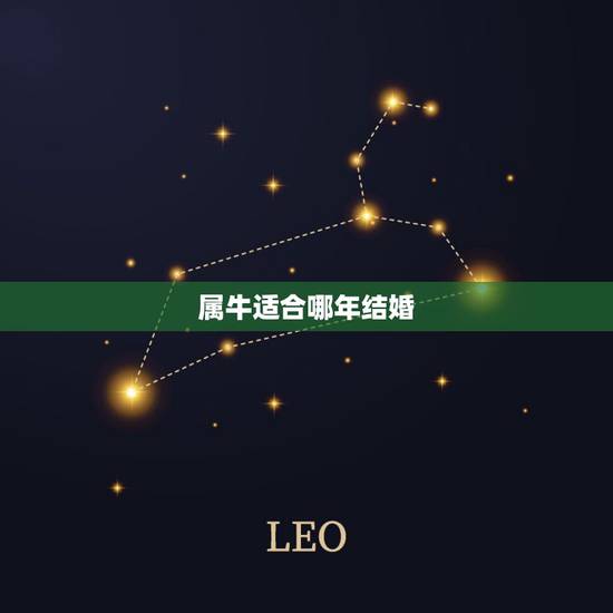 属牛适合哪年结婚，牛结婚最合适什么生肖