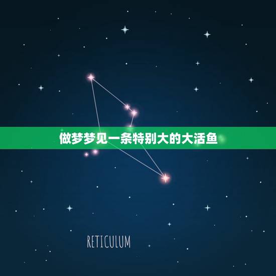 做梦梦见一条特别大的大活鱼，梦见自己抓到一条好大的活鱼
