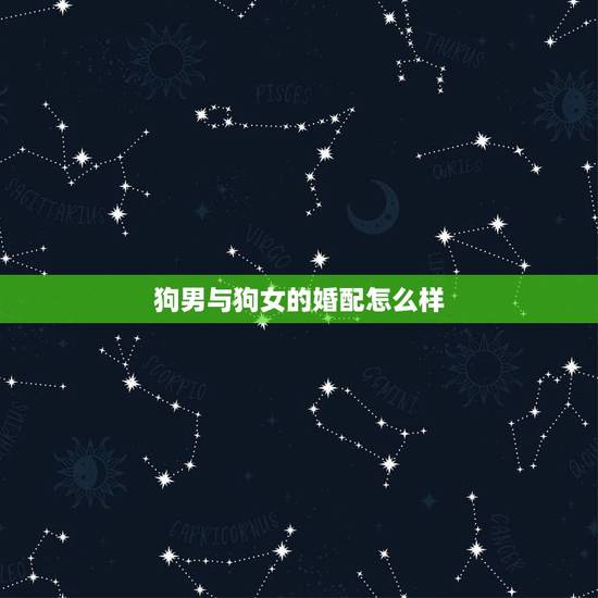 狗男与狗女的婚配怎么样,属狗女与属狗男相配吗 狗男与狗女的婚配怎么样,属狗女与属狗男相配吗