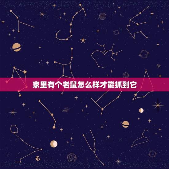 家里有个老鼠怎么样才能抓到它(适用方法大介绍)