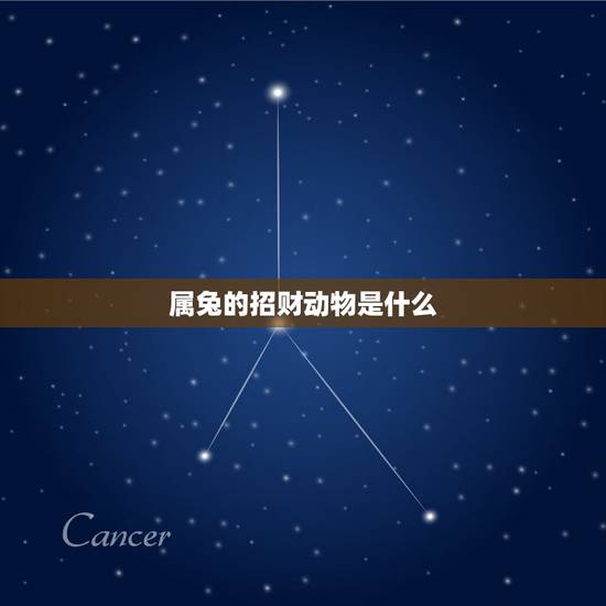 属兔的招财动物是什么,属兔宜带什么 属兔的招财动物是什么,属兔宜带什么
