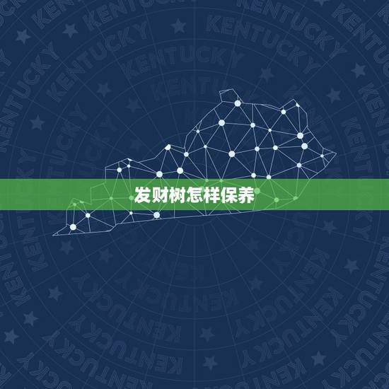 发财树怎样保养,冬季发财树怎么养护最好 发财树怎样保养,冬季发财树怎么养护最好