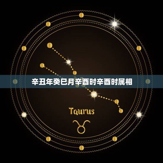 辛丑年癸巳月辛酉时辛酉时属相,我想请懂周易的大师预测一下我的四柱:辛酉 辛丑年癸巳月辛酉时辛酉时属相,我想请懂周易的大师预测一下我的四柱:辛酉