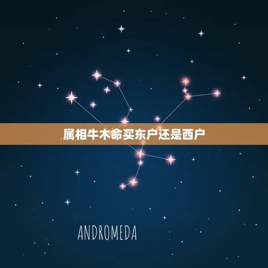属相牛木命买东户还是西户，1997年的牛命买房子买东户好还是西户好？