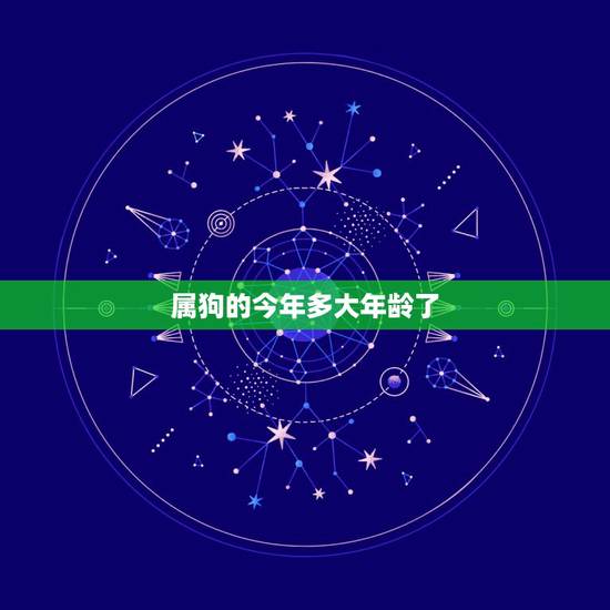 属狗的今年多大年龄了，属牛的今年多大年龄了