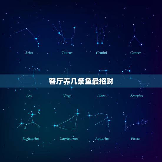 客厅养几条鱼最招财，风水鱼应该养几条好呀？