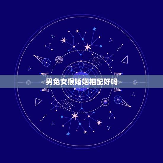 男兔女猴婚姻相配好吗,属兔的男人与属猴的女孩相配吗 男兔女猴婚姻相配好吗,属兔的男人与属猴的女孩相配吗