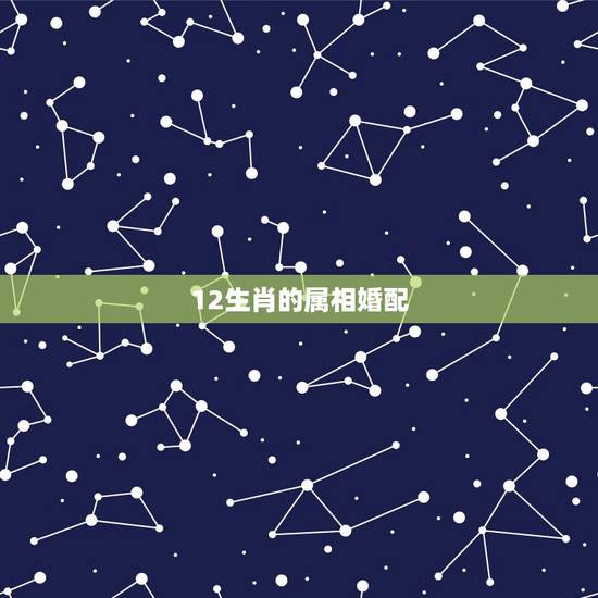 12生肖的属相婚配，十二生肖和什么属相最配