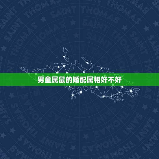 男童属鼠的婚配属相好不好,属鼠的婚配什么属相 男童属鼠的婚配属相好不好,属鼠的婚配什么属相