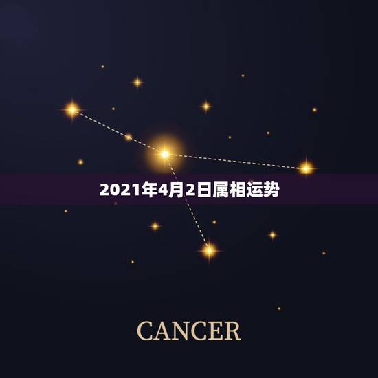 2021年4月2日属相运势，麦玲玲2021年运程十二生肖运程