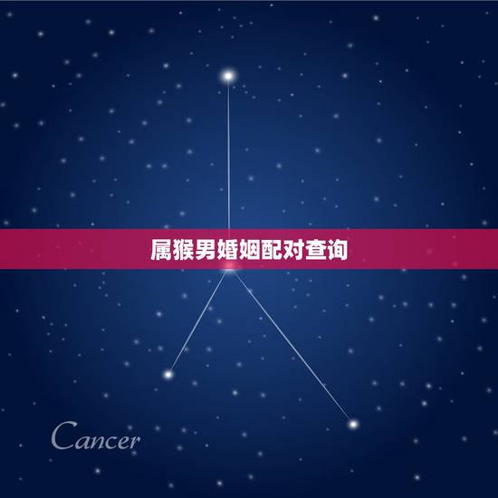 属猴男婚姻配对查询 属猴男最佳属相婚配 属猴男婚姻配对查询 属猴男最佳属相婚配