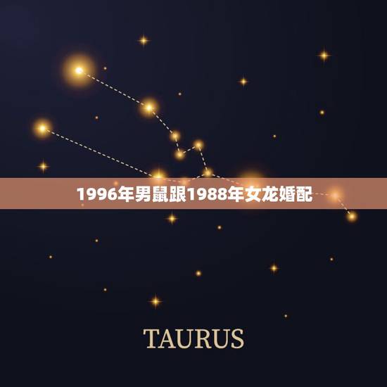 1996年男鼠跟1988年女龙婚配,1996年水命男鼠和1988年木命 1996年男鼠跟1988年女龙婚配,1996年水命男鼠和1988年木命