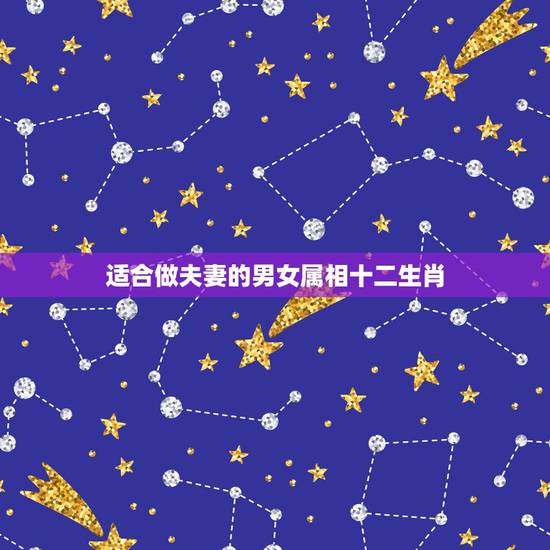 适合做夫妻的男女属相十二生肖,十二生肖婚姻配对大全 适合做夫妻的男女属相十二生肖,十二生肖婚姻配对大全