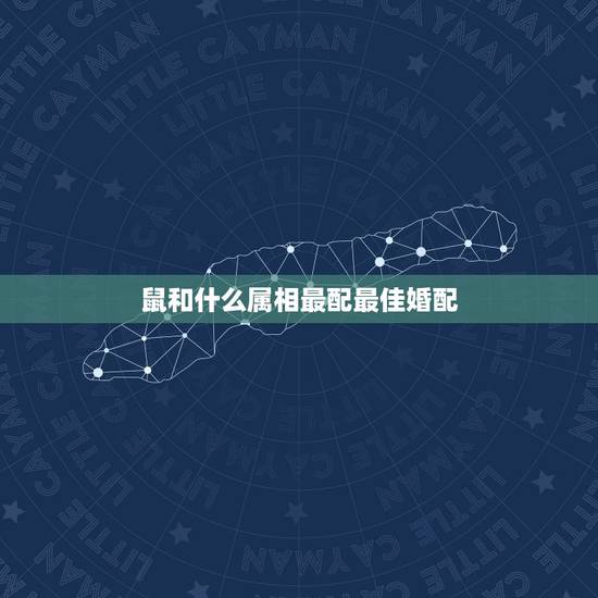 鼠和什么属相最配最佳婚配，属鼠的和什么属相般配