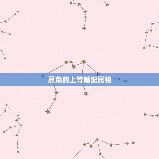 属兔的上等婚配属相,属相婚配,属兔的和什么属相最配 属兔的上等婚配属相,属相婚配,属兔的和什么属相最配