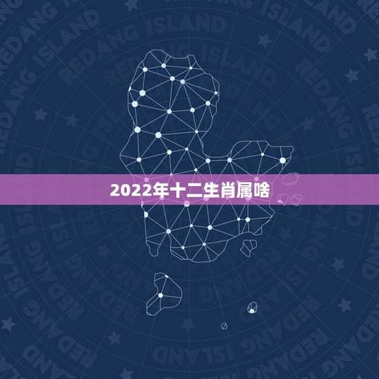 2022年十二生肖属啥，2022属虎生百年难得一遇