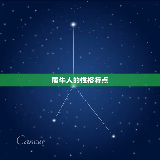 属牛人的性格特点