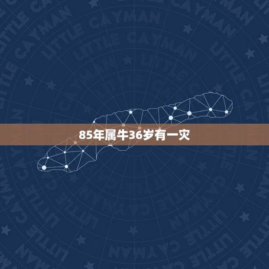 85年属牛36岁有一灾,1985年属牛36岁本命年运势 2021年属牛 85年属牛36岁有一灾,1985年属牛36岁本命年运势 2021年属牛