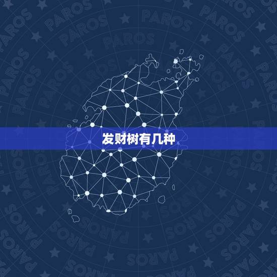发财树有几种，发财树对光照有哪些要求？
