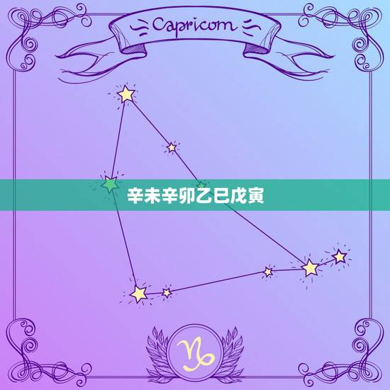 辛未辛卯乙巳戊寅,丙寅庚子丙戌辛卯 辛未辛卯乙巳戊寅,丙寅庚子丙戌辛卯