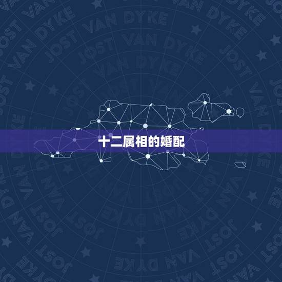十二属相的婚配,属猴的和什么属相最相配 12属相婚配表 十二属相的婚配,属猴的和什么属相最相配 12属相婚配表