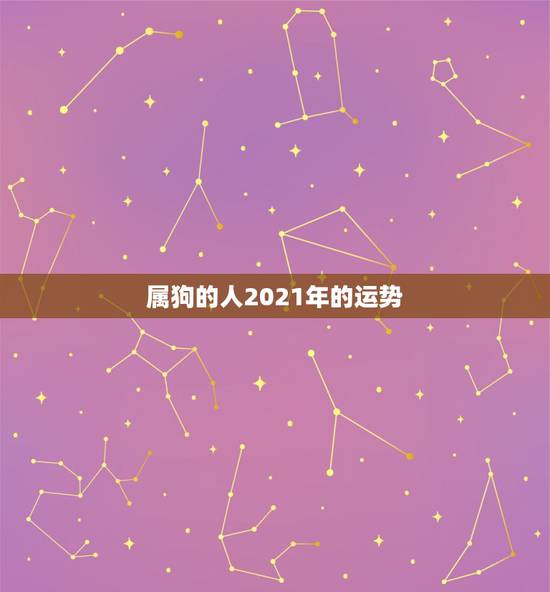 属狗的人2021年的运势，2021年狗人的全年运势如何